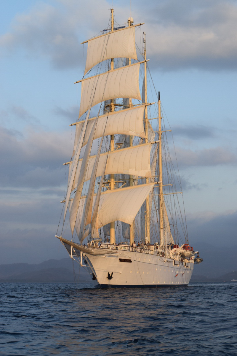 star clippers cruise reviews