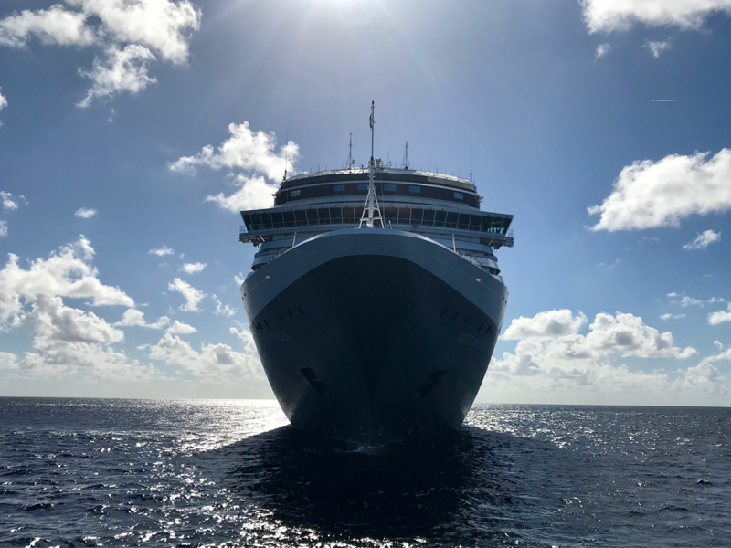 new amsterdam cruise ship reviews