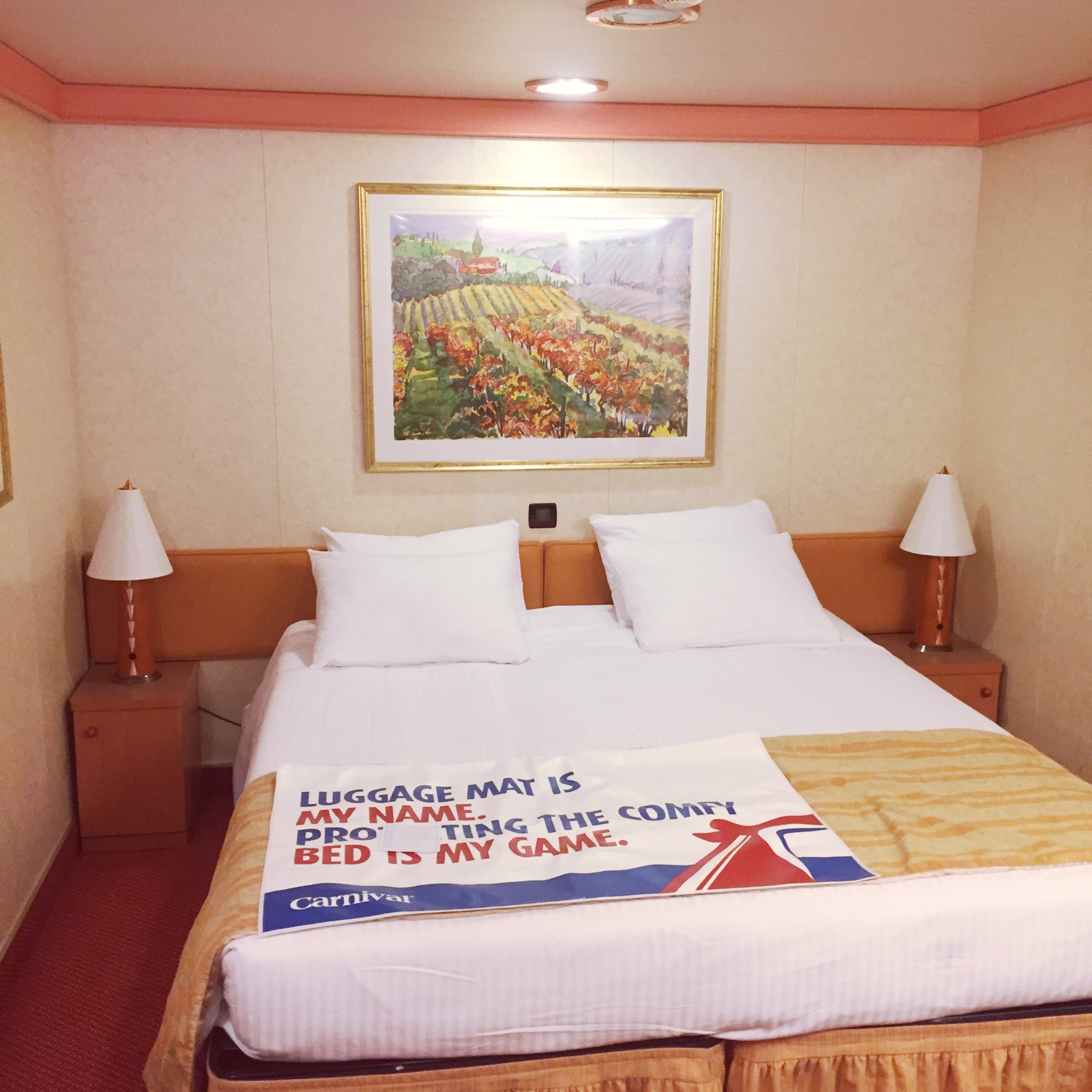 carnival valor cruise ship rooms