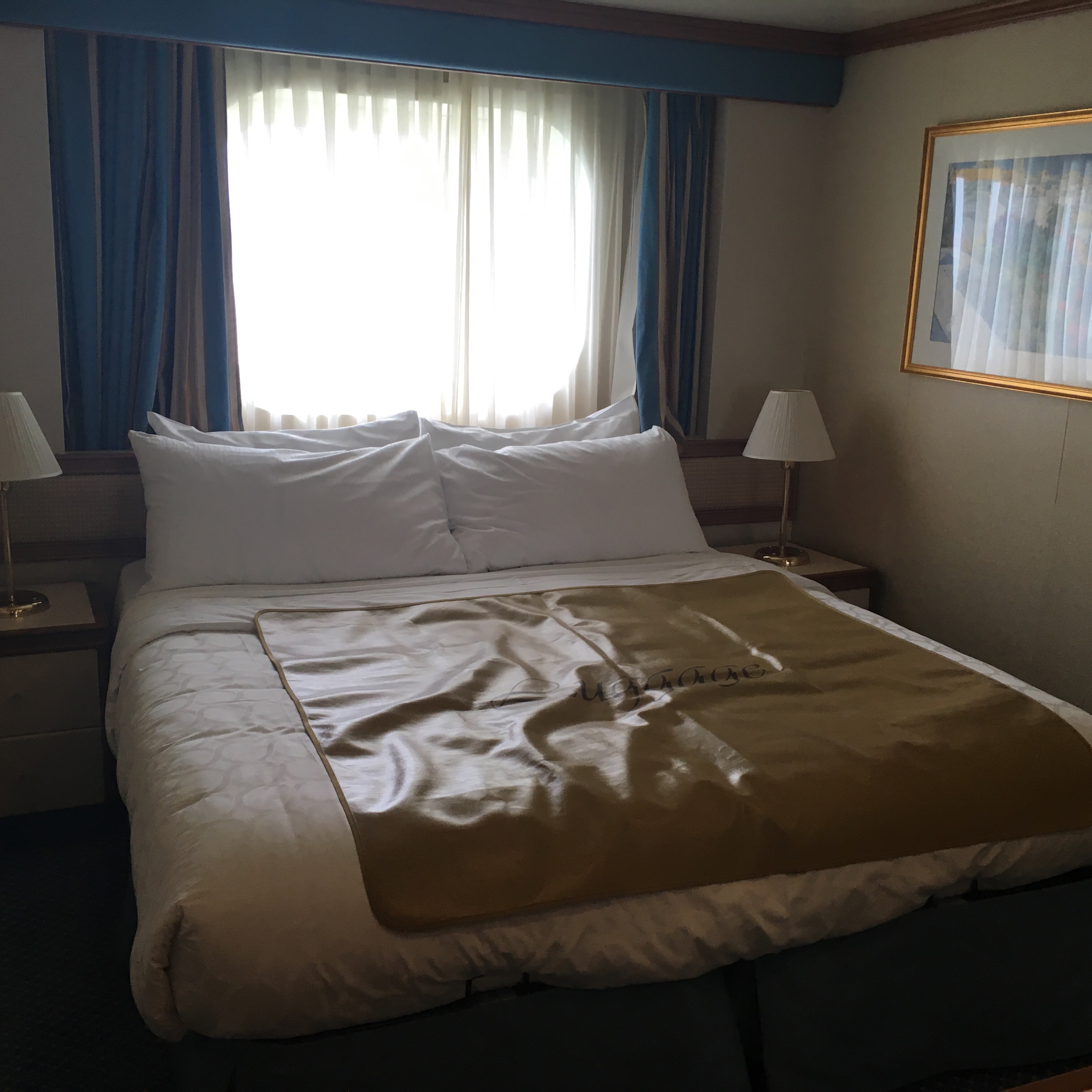 Oceanview Stateroom, Cabin Category OE, Emerald Princess