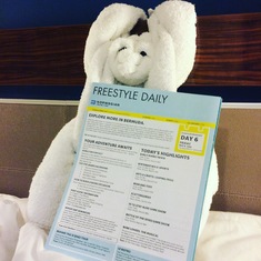 Towel monkey crafted by room steward
