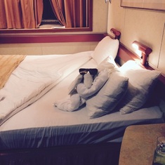 One of many cute towel animals our staff made for us