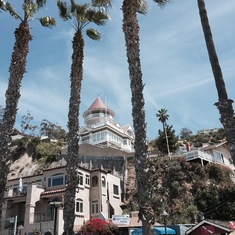 Catalina