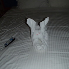 Bunny