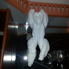 cute monkey from our steward