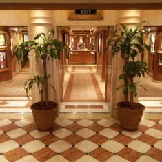 The art gallery