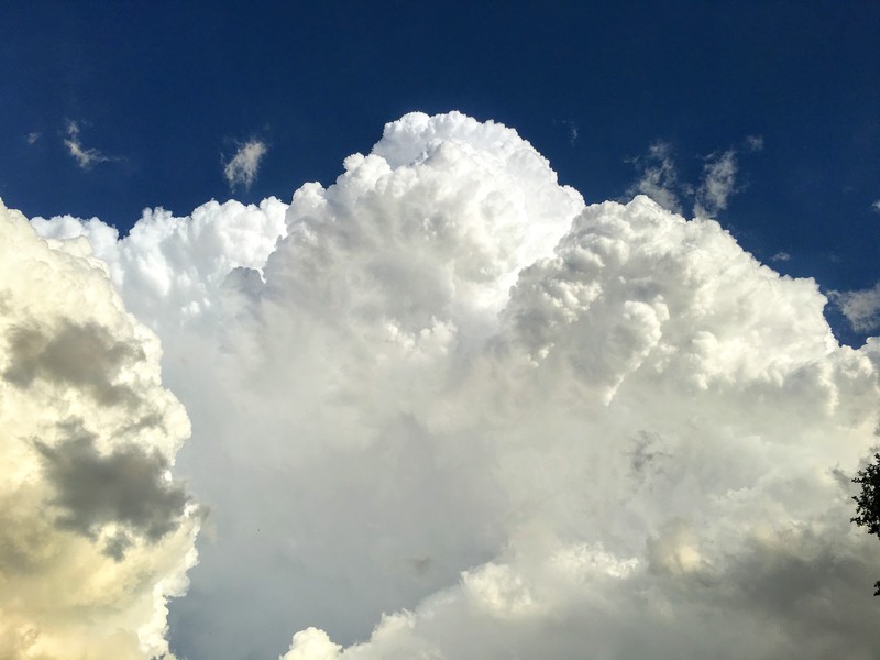 Crystal Serenity Reviews and Photos