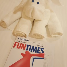 bed animals