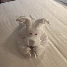 Towel Dog created by ALFIE