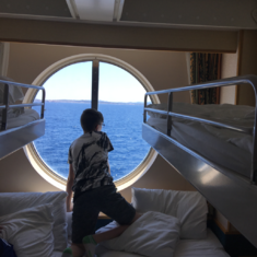 Oceanview Cabin 2260 On Freedom Of The Seas Category 1n