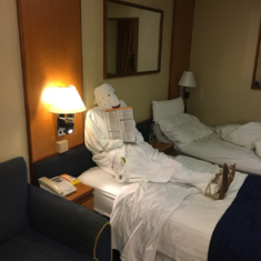 Inside Cabin 8001 On Radiance Of The Seas Category Sl