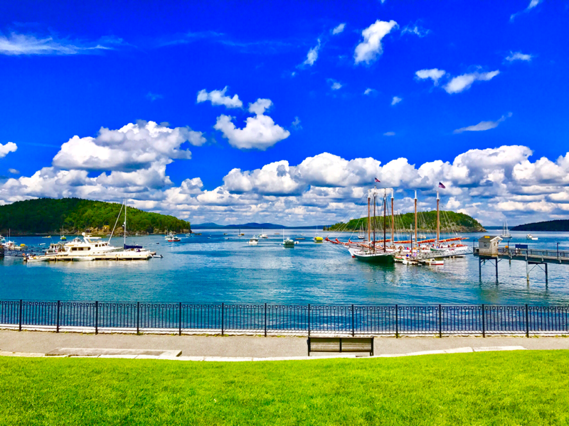 cruise from bar harbor