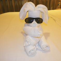 Towel dog