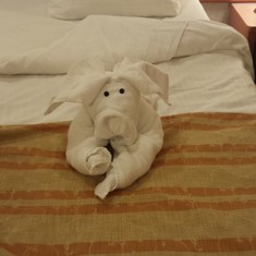 Towel Animal