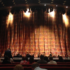 the live orchestra!