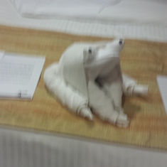 Towel frog