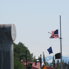 Bald Eagle Welcoming Cruise Passengers in Juneau