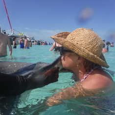 Kissing a stingray at Stingray City