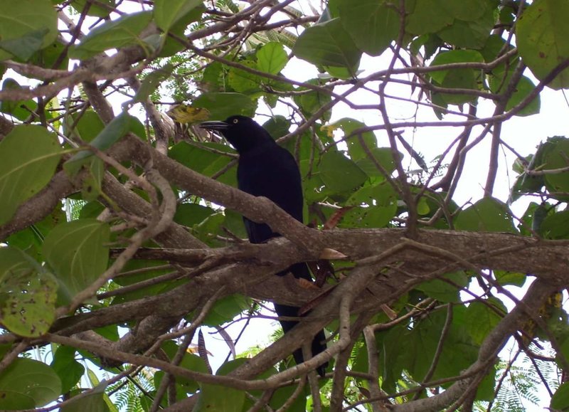 Calica, Mexico Cruise Port