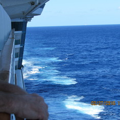 water is amazing!
