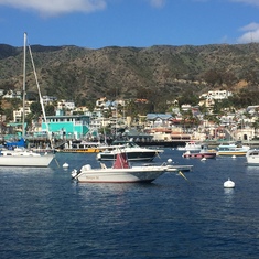 catalina