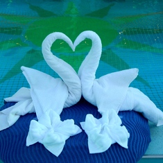 towel animals