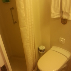 The Toilet/Shower