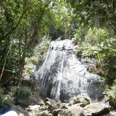 Rain forest waterfall