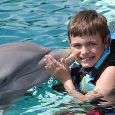 Dolphin excursion in Cozumel.