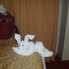 Towel animals on our bed every night