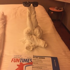 Love the towel animals!