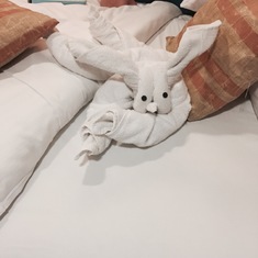 Bunny