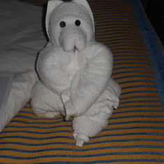 Different towel figures daily given by the housekkeeping staff