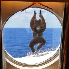 Everyone was taking pics of our monkey in the window!