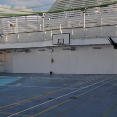 Basketball on Royal Princess