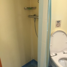 Bathroom with toilet, sink and shower