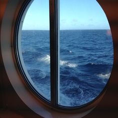 Watching Dolphins