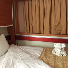 So lovely! Different towel animal everyday