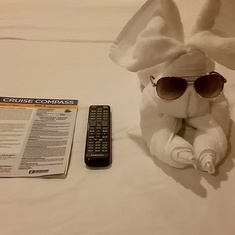 The staff leave these cute animals made of towels