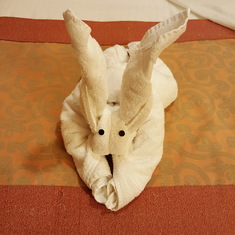 Towel animal