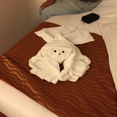 Our first towel animal