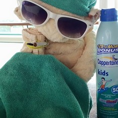 Fav towel animal on the ship