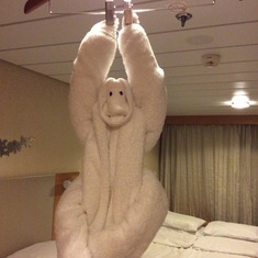 Monkey play