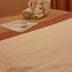Cute elephant