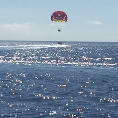 Catalina
