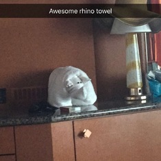 One of the awesome towel animals we had waiting in our room!