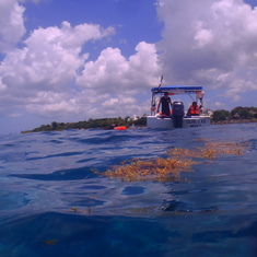 Snorkling