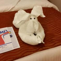 Nightly Towel Animal