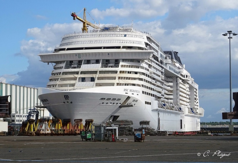 MSC Meraviglia Reviews and Photos