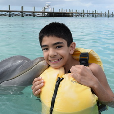 Bahamas Dolphin Excursion